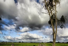 2026世界杯竞猜-曼联奇才JJ加布里埃尔在老特拉福德创造历史