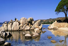 2026世界杯竞猜-15岁新星闪耀橘子碗 孙心然创造中国网球历史